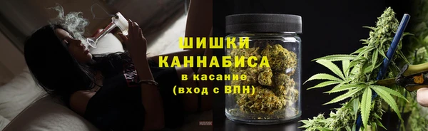 сатива Бородино