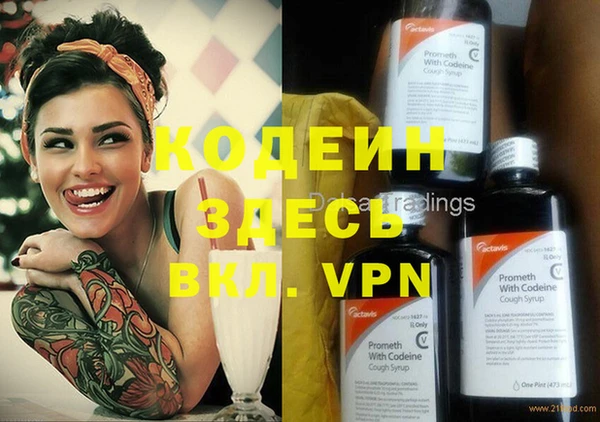 сатива Бородино