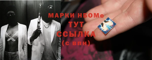 молекула духа Богородицк