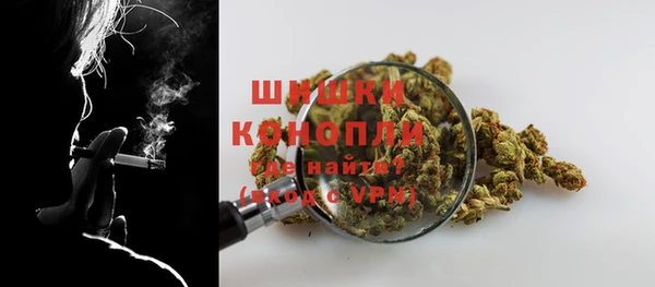 сатива Бородино