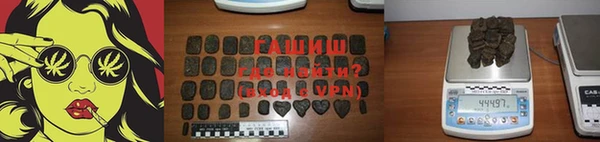 сатива Бородино