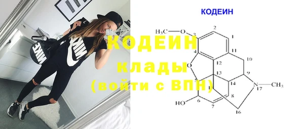 сатива Бородино