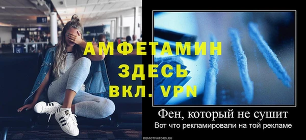 сатива Бородино